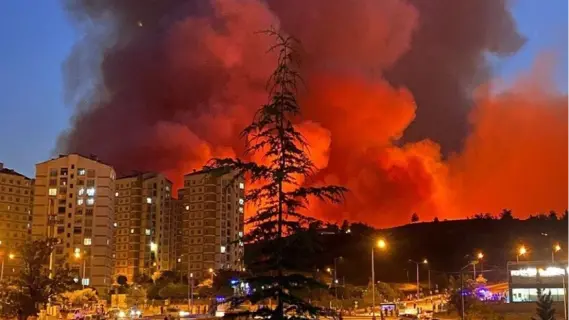 حرائق الغابات تهدد مدينة بورصة التركية وتستدعي إجلاء الآلاف