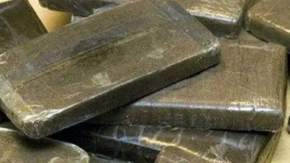 حرس الحدود في جازان يحبط تهريب 54 كجم حشيش ويعتقل 3 مخالفين