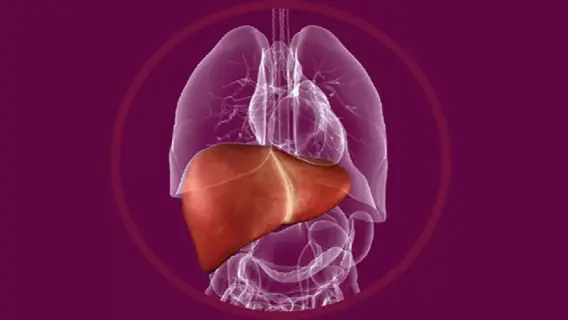 فيتامين د يساهم في تخفيف مضاعفات الكبد المزمن