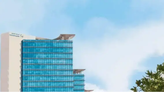 Saudi Arabia Arrests 22,000 for Residency and Border Violations in a Week