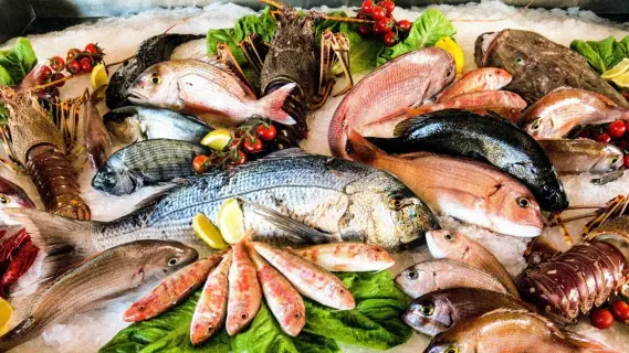 ارتفاع أسعار الأسماك بجازان 48% بفعل الرياح والرواتب