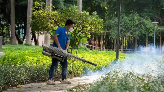 China Intensifies Efforts to Combat Chikungunya Outbreak