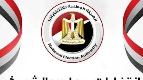 المصريون بالخارج يواصلون التصويت في إعادة انتخابات الشيوخ 2025