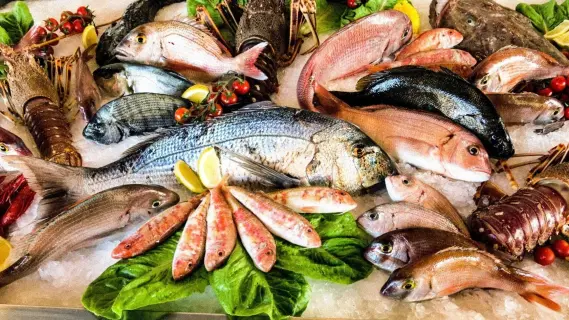 استقرار أسعار الأسماك في سوق العبور اليوم الأربعاء 27 أغسطس 2025