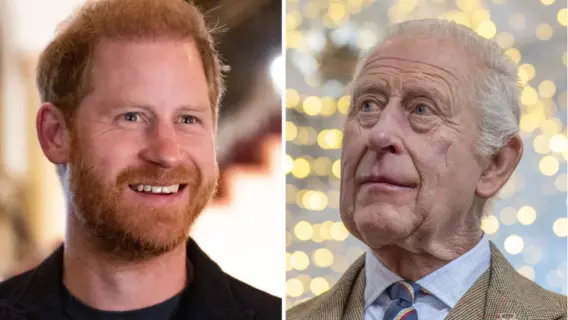 King Charles Bars Prince Harry from Official Royal Duties