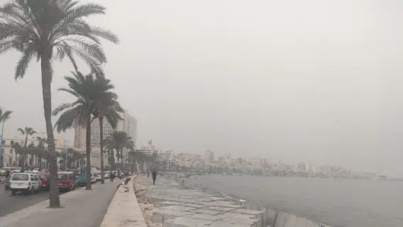 طقس الأسكندرية: أمطار غزيرة وبرق ورعد يضربون المدينة