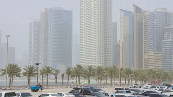 urgent: UAE NCM Issues Alerts as Fog Lowers Visibility