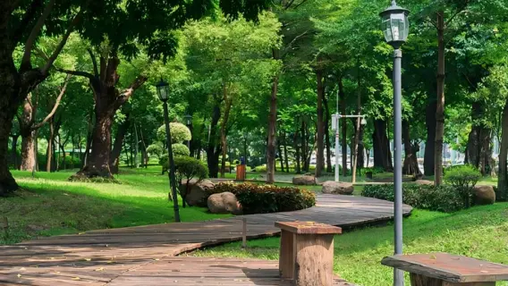 حديقة الراشدية عجمان: وجهة مثالية للاستمتاع بالطبيعة الخلابة والهدوء