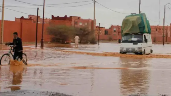 سكان الأودية النائمة يستغيثون: "نحن نغرق" بعد موجة فيضانات بالجزائر