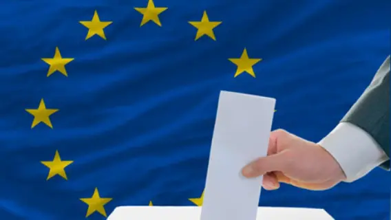 اليمين المتطرف يحقق انتصارًا غير مسبوق في النمسا