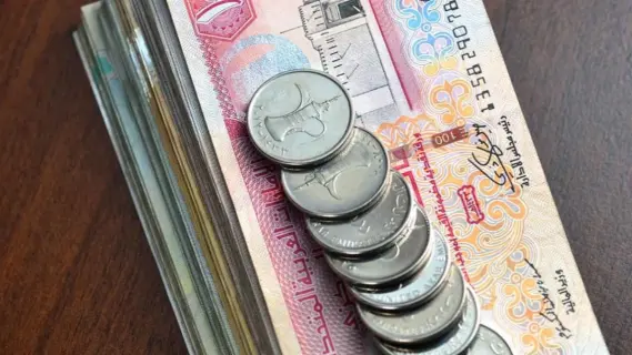 الإمارات تطلق خدمة استرداد رسوم الخدمات الضريبية بدءاً من أول أغسطس