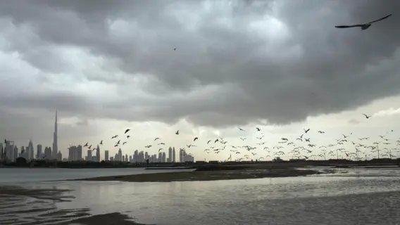 الإمارات: فرصة سقوط أمطار على بعض المناطق غدا