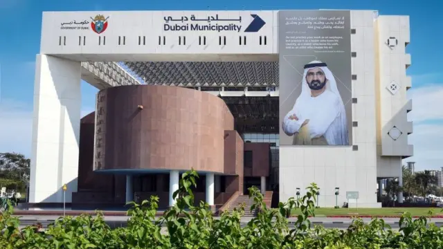 بلدية دبي تجمّل 70 أصلاً للبنية التحتية على شارع الشيخ زايد بأعمال فنية إماراتية تعزز هوية المدينة