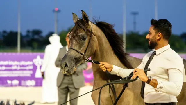 انطلاق بطولة العالم لخيل الجزيرة بمشاركة 340 جوادًا في ميدان الملك عبدالعزيز