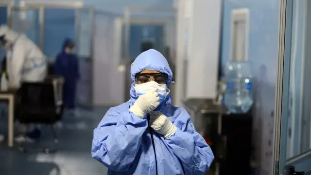 السلطات المصرية تؤكد خلو البلاد من فيروس هانتا وسط مراقبة صحية دقيقة