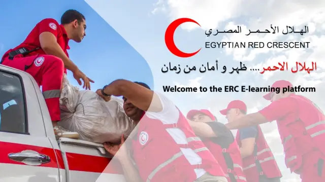 الهلال الأحمر المصري يرسل 8 آلاف طن مساعدات عاجلة لغزة
