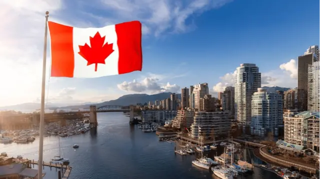 Canada Issues Bear Warning for Travelers Visiting Northern Japan