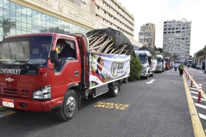 تجهيز مواقع زراعة الأشجار في بورسعيد