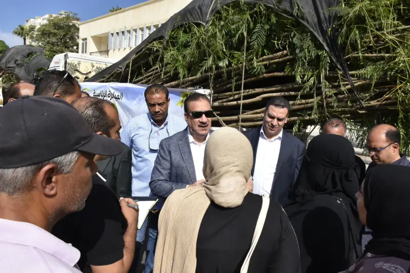 أشجار البونسيانا والجاكرندا ضمن مبادرة 100 مليون شجرة