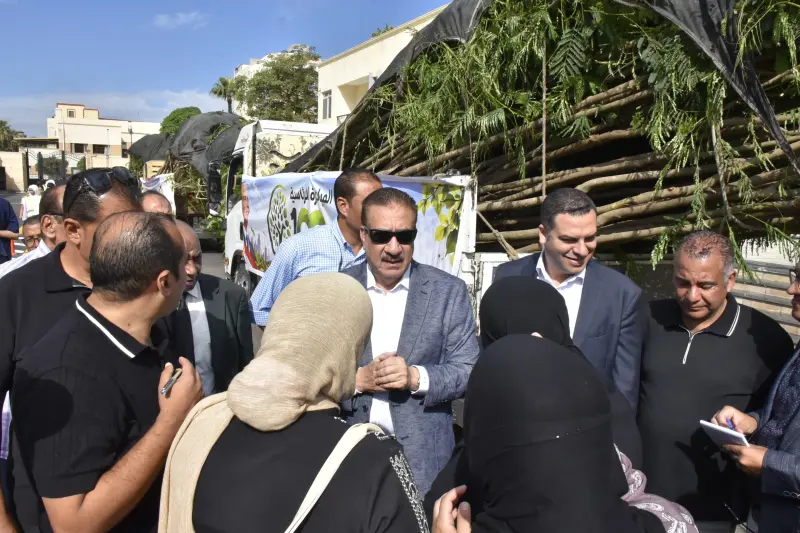 أشجار مخصصة لزيادة المساحات الخضراء في بورسعيد