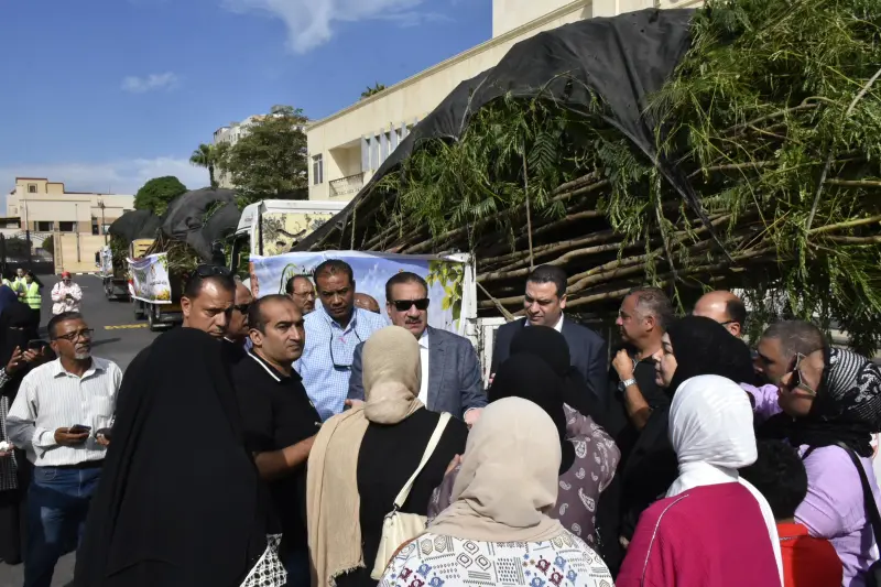 تحضيرات لزراعة أشجار جديدة في بورسعيد