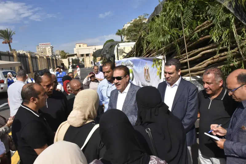أشجار معدة للتوزيع على أحياء بورسعيد