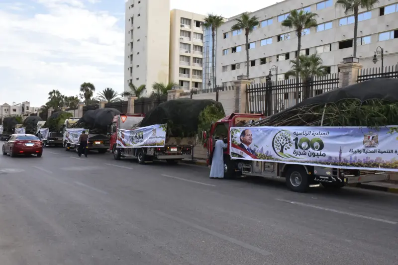 أشجار البونسيانا والجاكرندا الواردة إلى بورسعيد