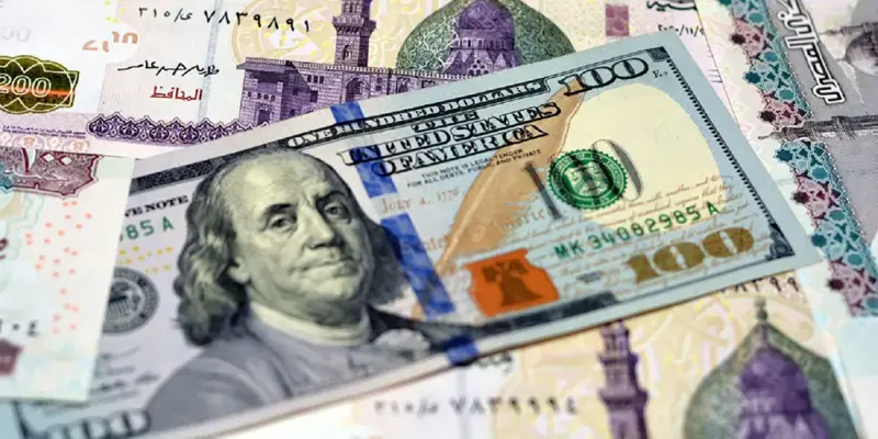 سعر الدولار اليوم