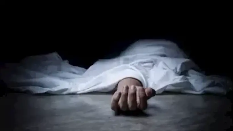 ارشيفية