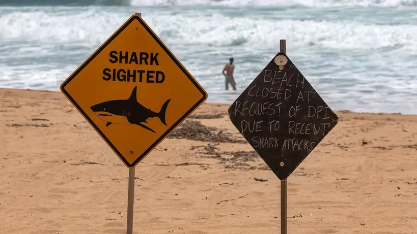 Shark Attacks in Australia