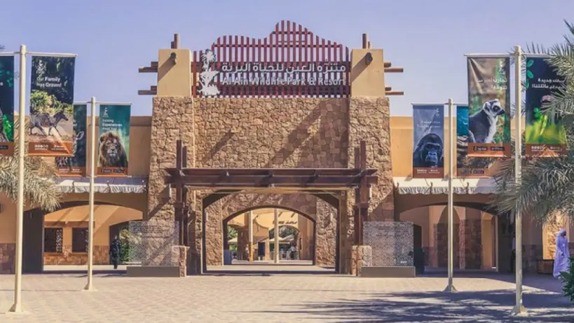 حديقة الحيوانات في العين تحتفي بيوم البطريق العالمي