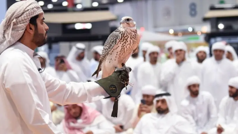 المزاد الدولي لمزارع الصقور 2025 يشهد إقبالًا واسعًا