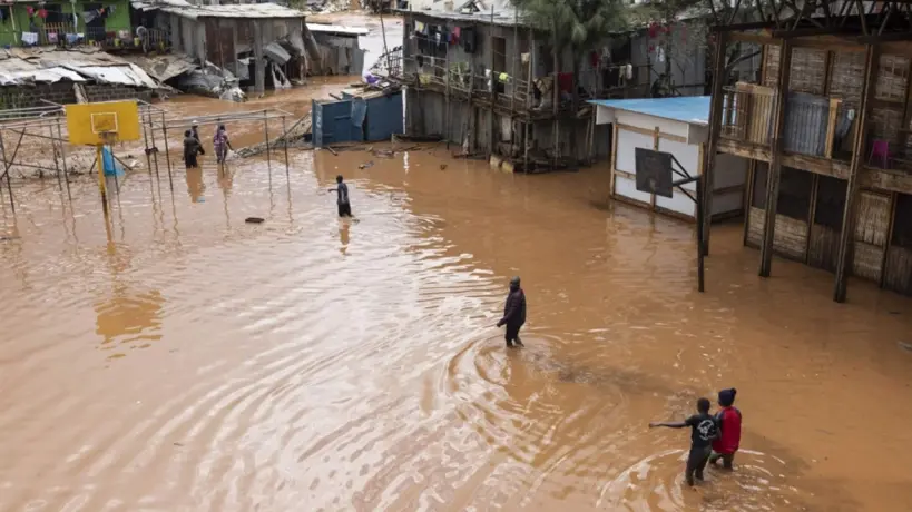 فيضانات نيجيريا تجرف الزواحف القاتلة إلى الشوارع