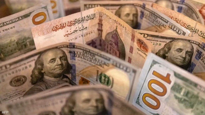 الشهادات الدولارية